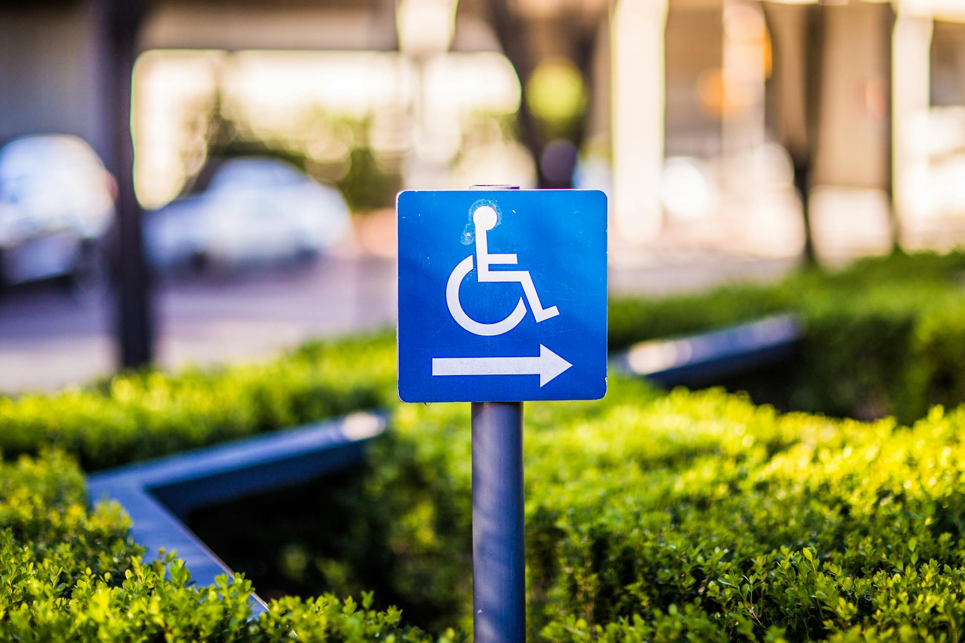 How to Get Clients for Your Accessible Transportation Business