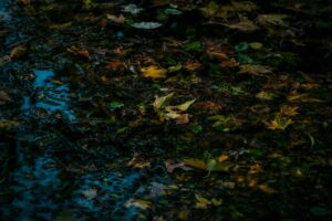 How to Get Clients for Your Above Ground Pool Business