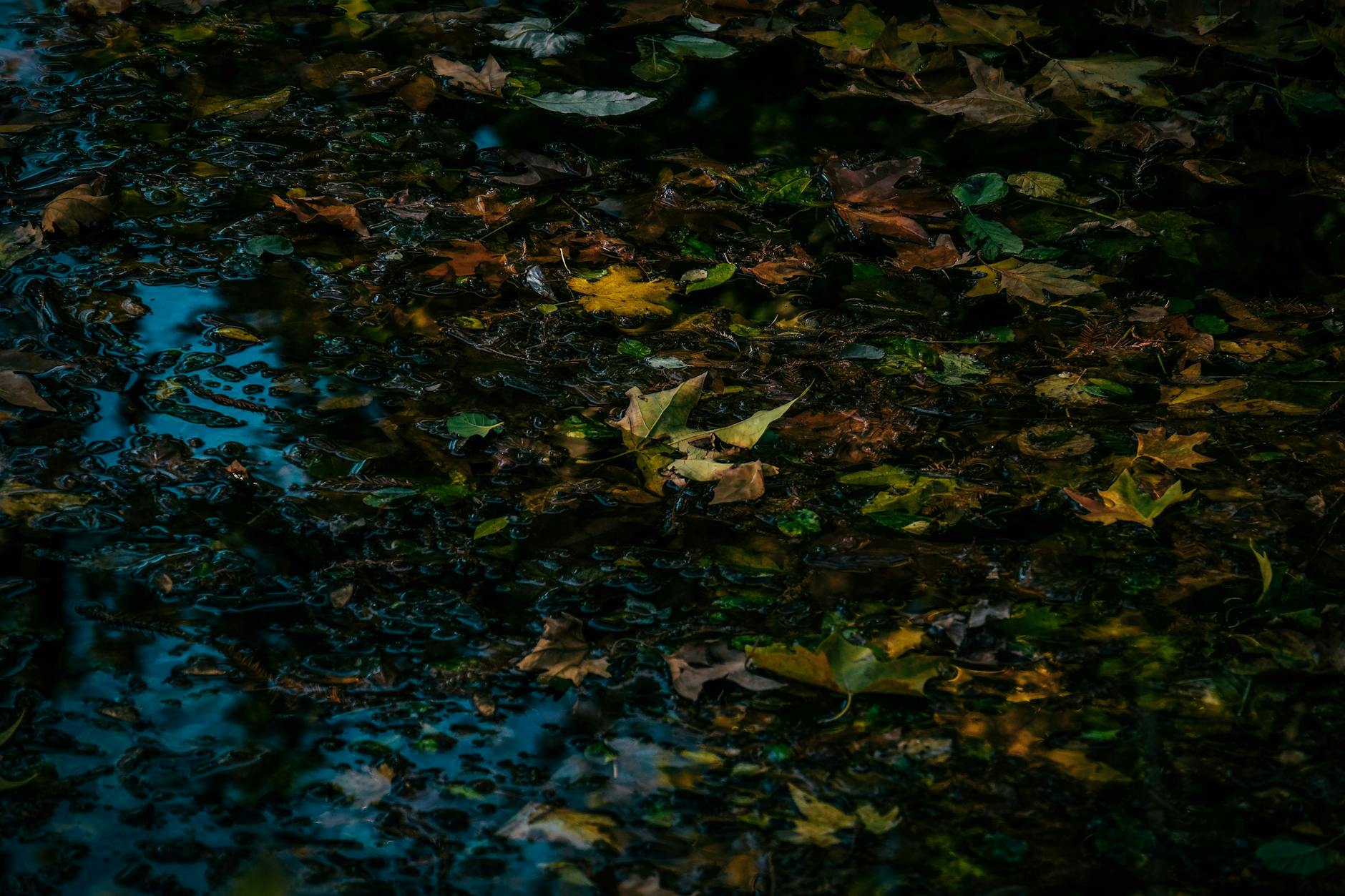 How to Get Clients for Your Above Ground Pool Business