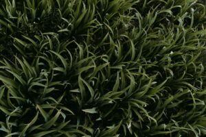 How to Create Land Surveying Industry Logo