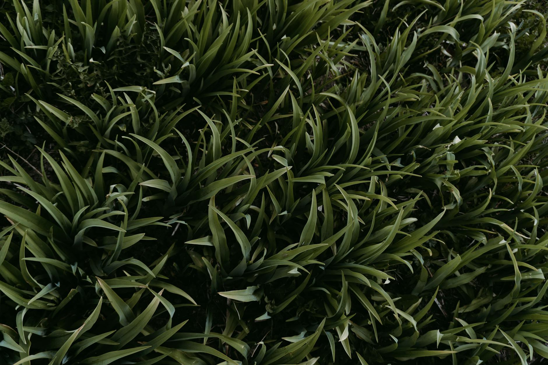 How to Create Land Surveying Industry Logo