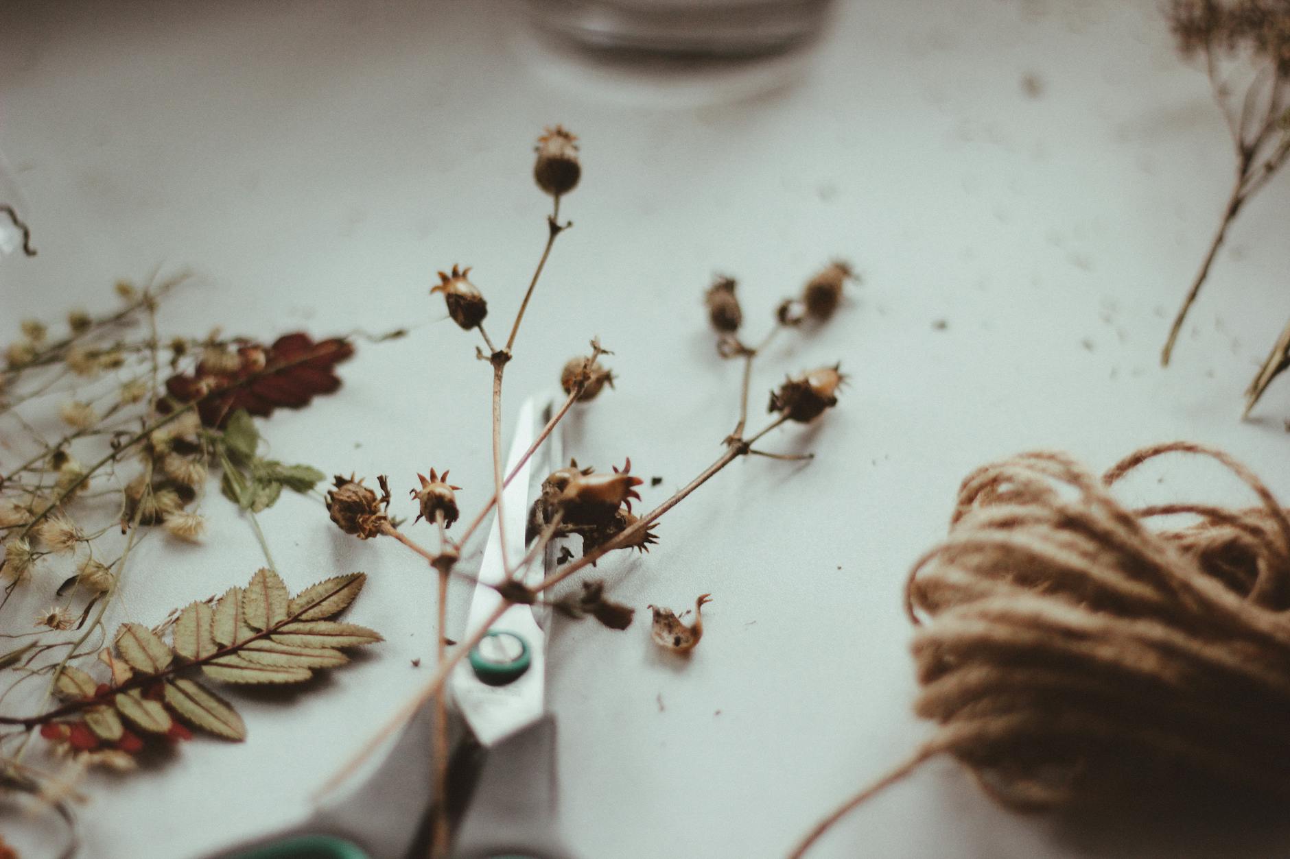 How to Create Dried Flowers Industry Logo