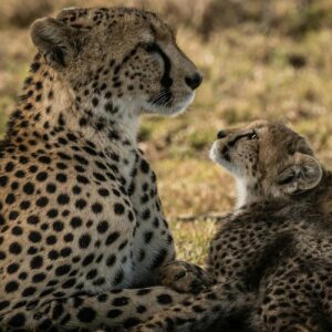 How to Get Clients for Your Landscape Maintenance Equipment Business