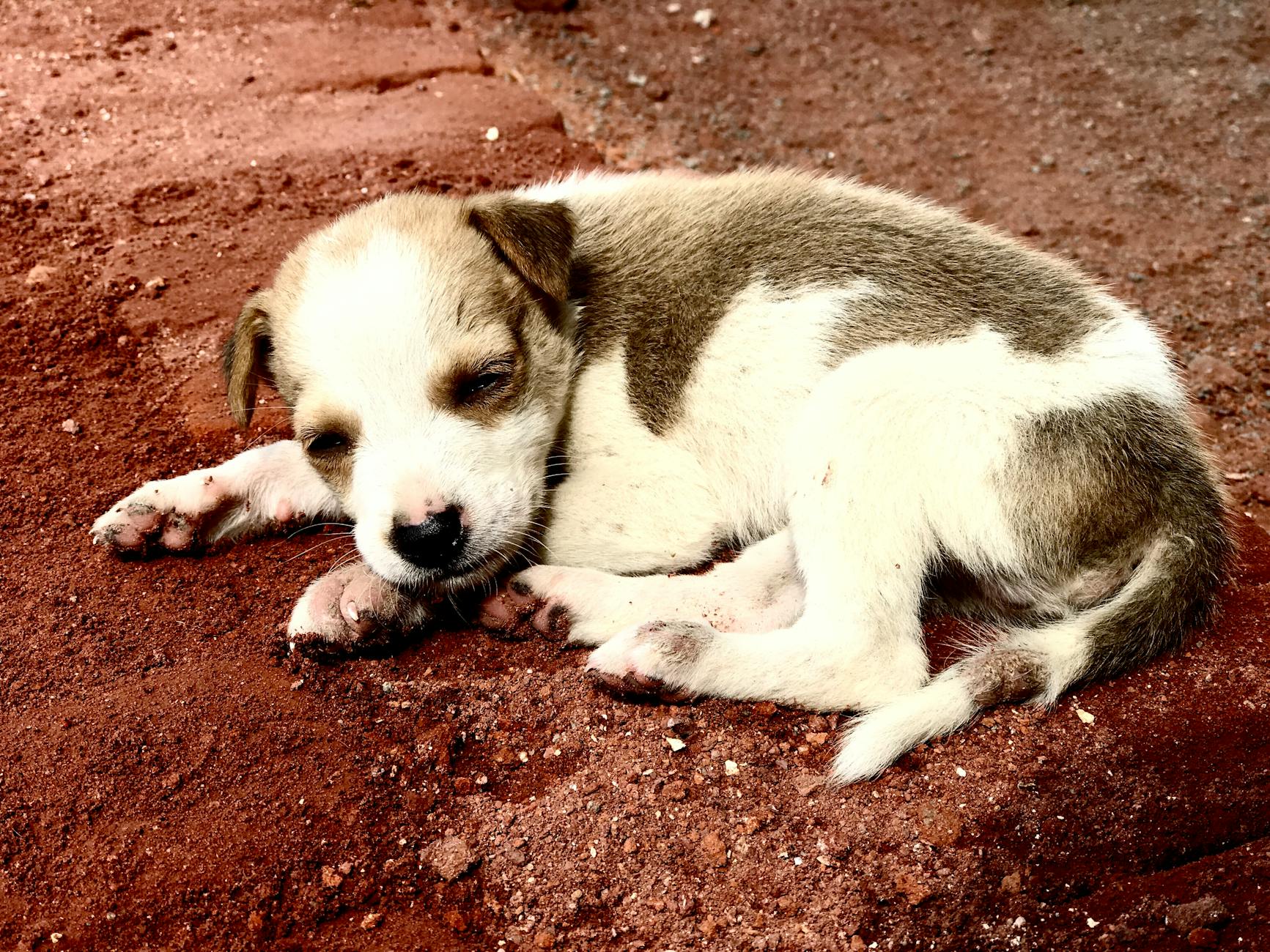 Low-Carbon Steel Industry Logo Design Ideas