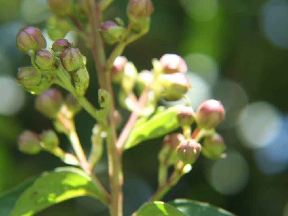 How to Create Air Treatment Industry Logo