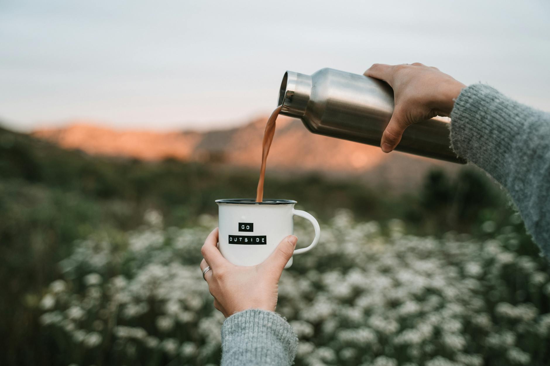 Eco-Friendly Camping Industry Logo Design Ideas