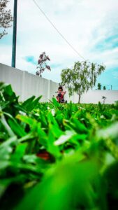 Artistic Style Logo Design Ideas