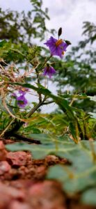 How to Get Clients for Your Custom Carburetor Manufacturing Business