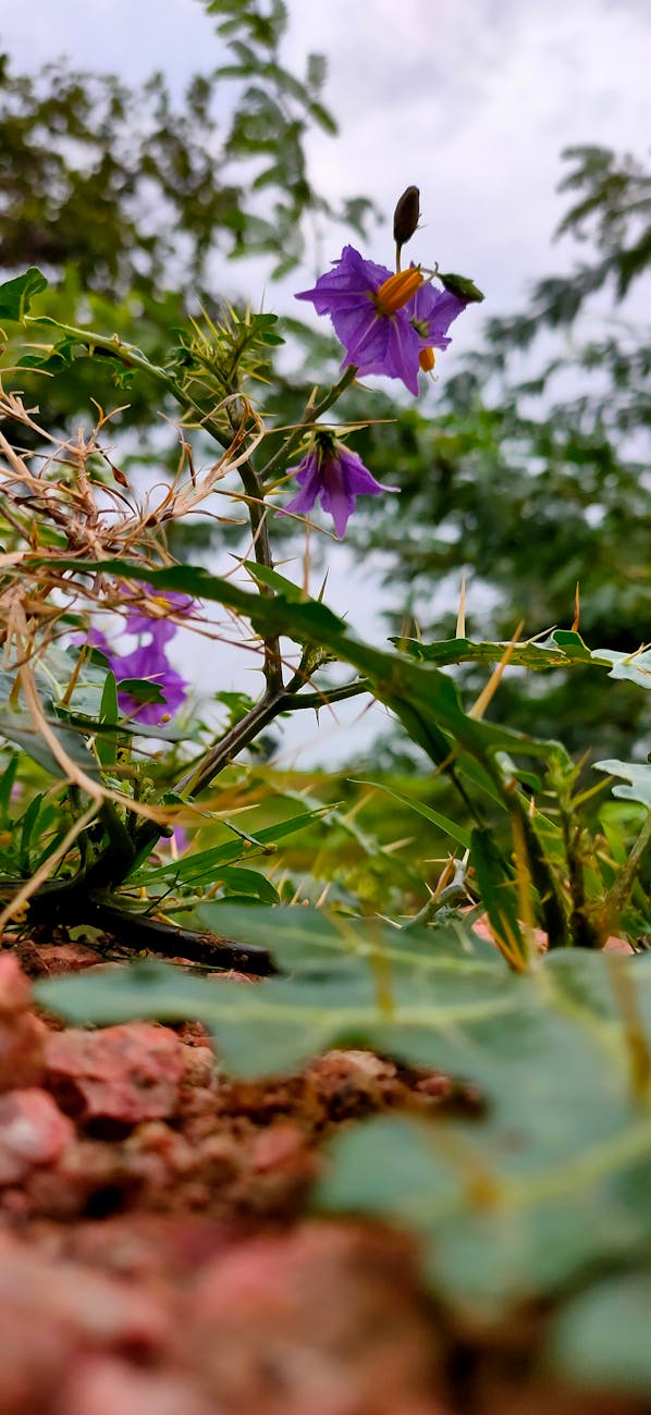 How to Get Clients for Your Custom Carburetor Manufacturing Business