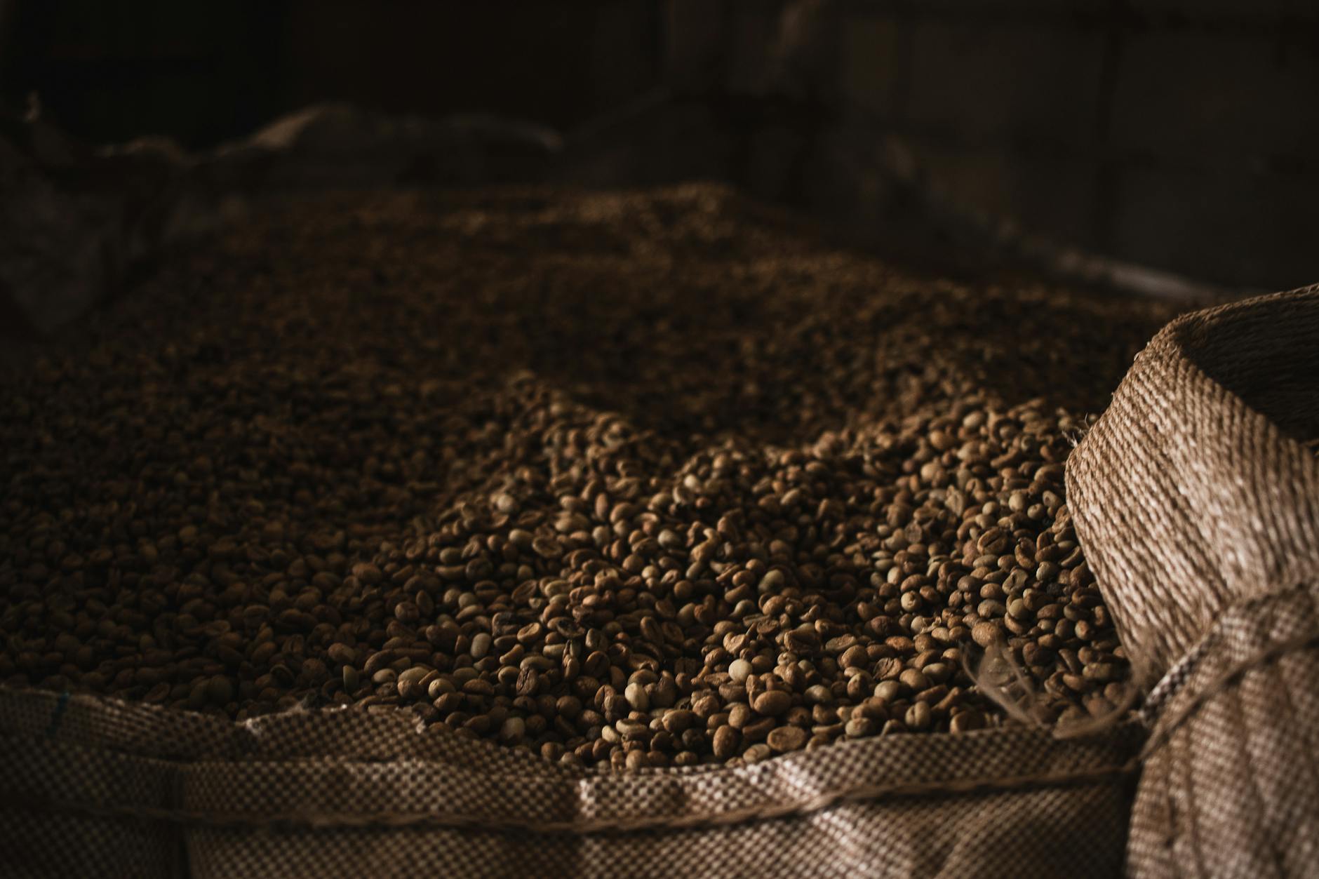 How to Get Clients for Your Bulk Commodity Storage Business