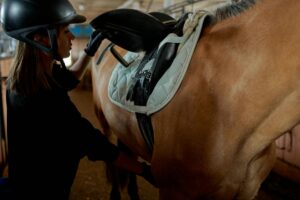 How to Get Clients for Your Equestrian Safety Business