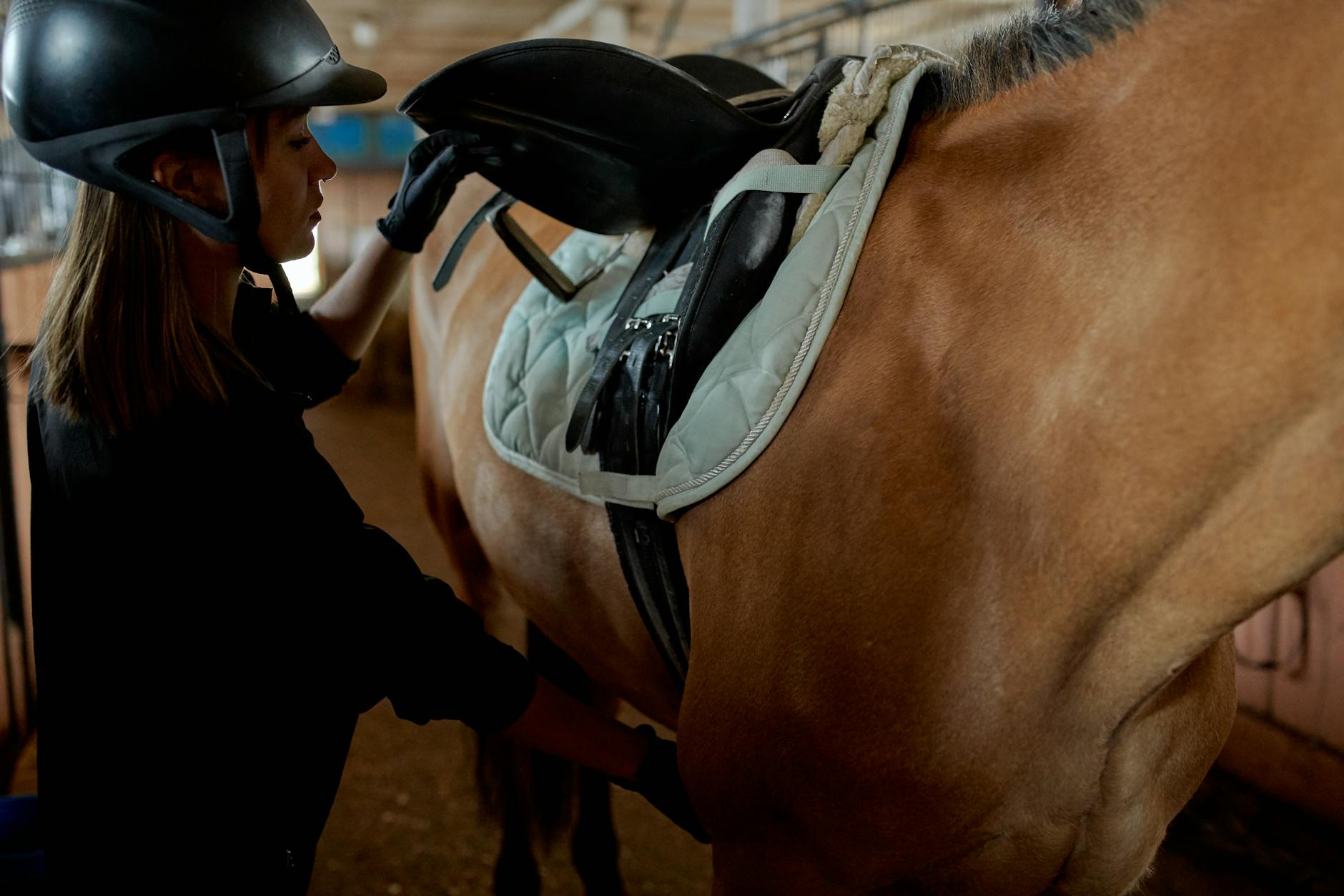 How to Get Clients for Your Equestrian Safety Business