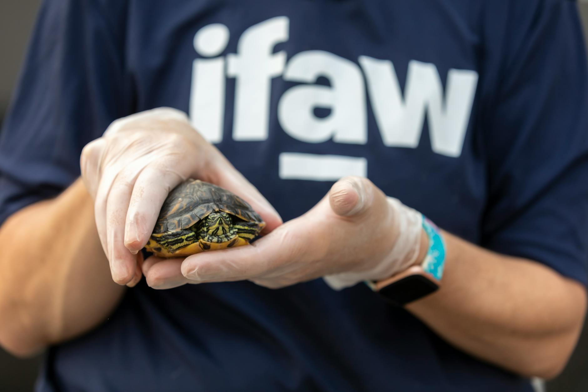 How to Get Clients for Your Exotic Animal Rehabilitation Business