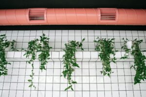 How to Create Garden Supply Industry Logo