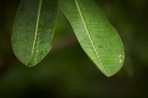 Road Safety Industry Logo Design Ideas