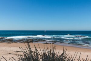 How to Create Drone Flight Instruction Industry Logo