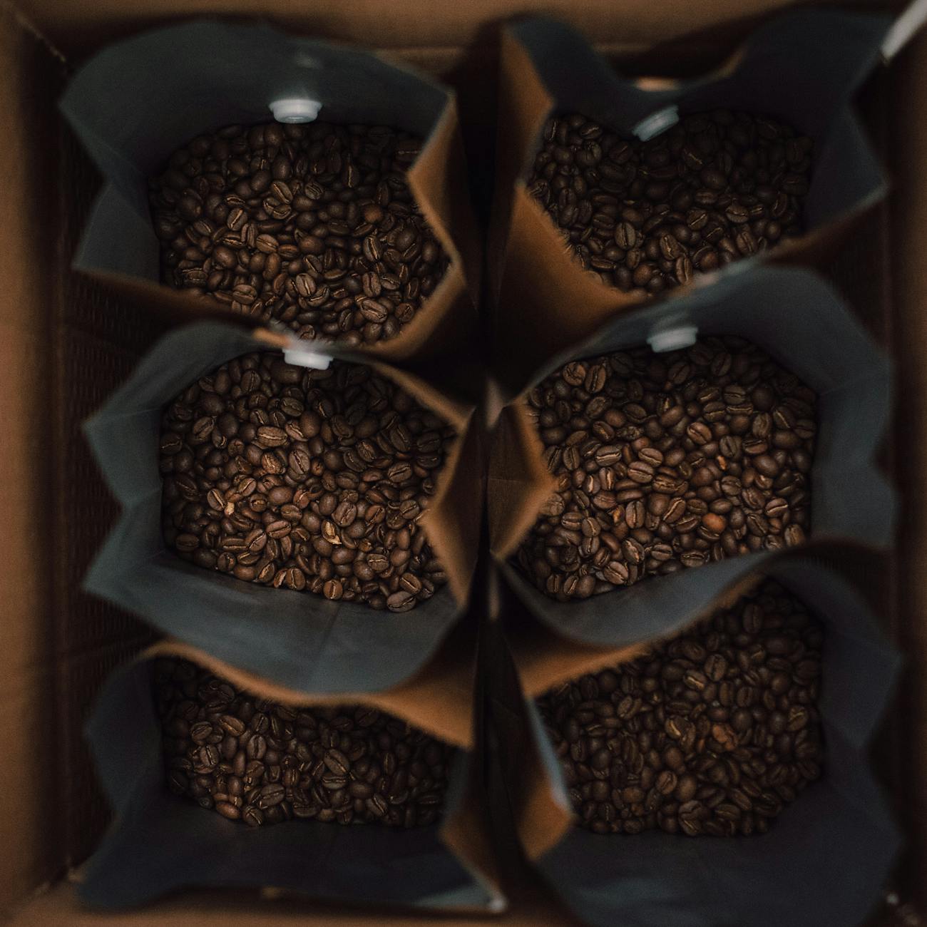 Packaging Foam Industry Logo Design Ideas
