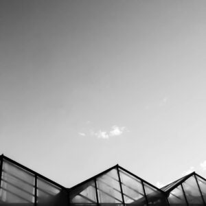 Agricultural Pest Control Industry Logo Design Ideas