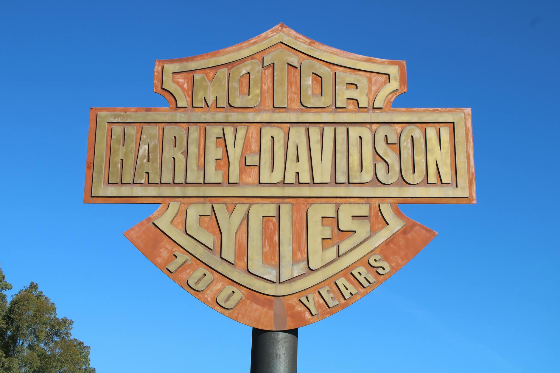 Biker Style Logo Design Ideas
