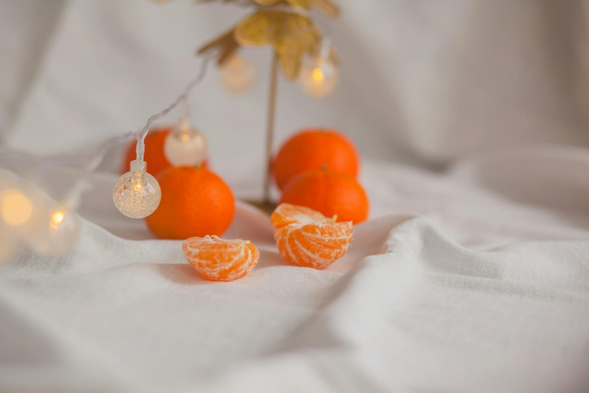 How to Create Citrus Research Industry Logo