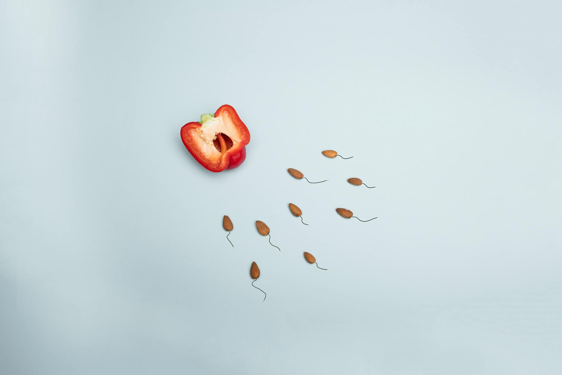 Orthopedic Biologics Industry Logo Design Ideas