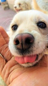 How to Get Clients for Your Oil Sands Business