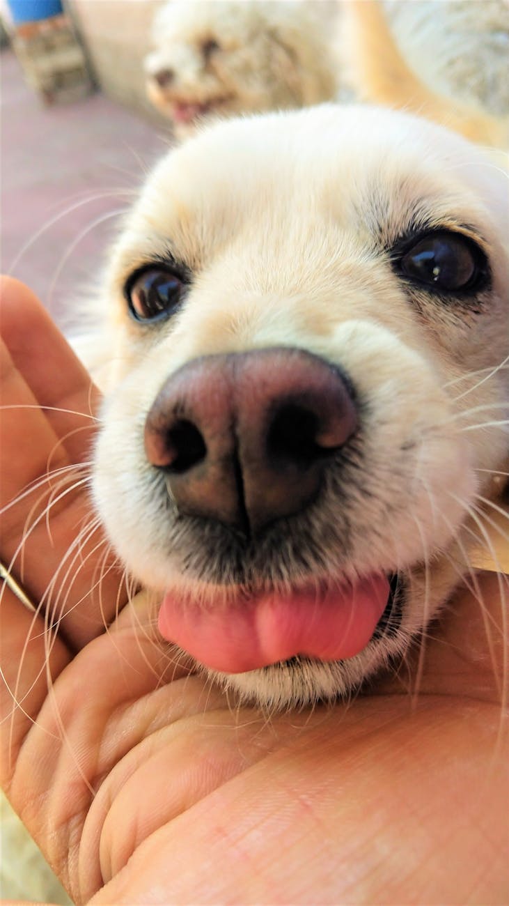 How to Get Clients for Your Oil Sands Business