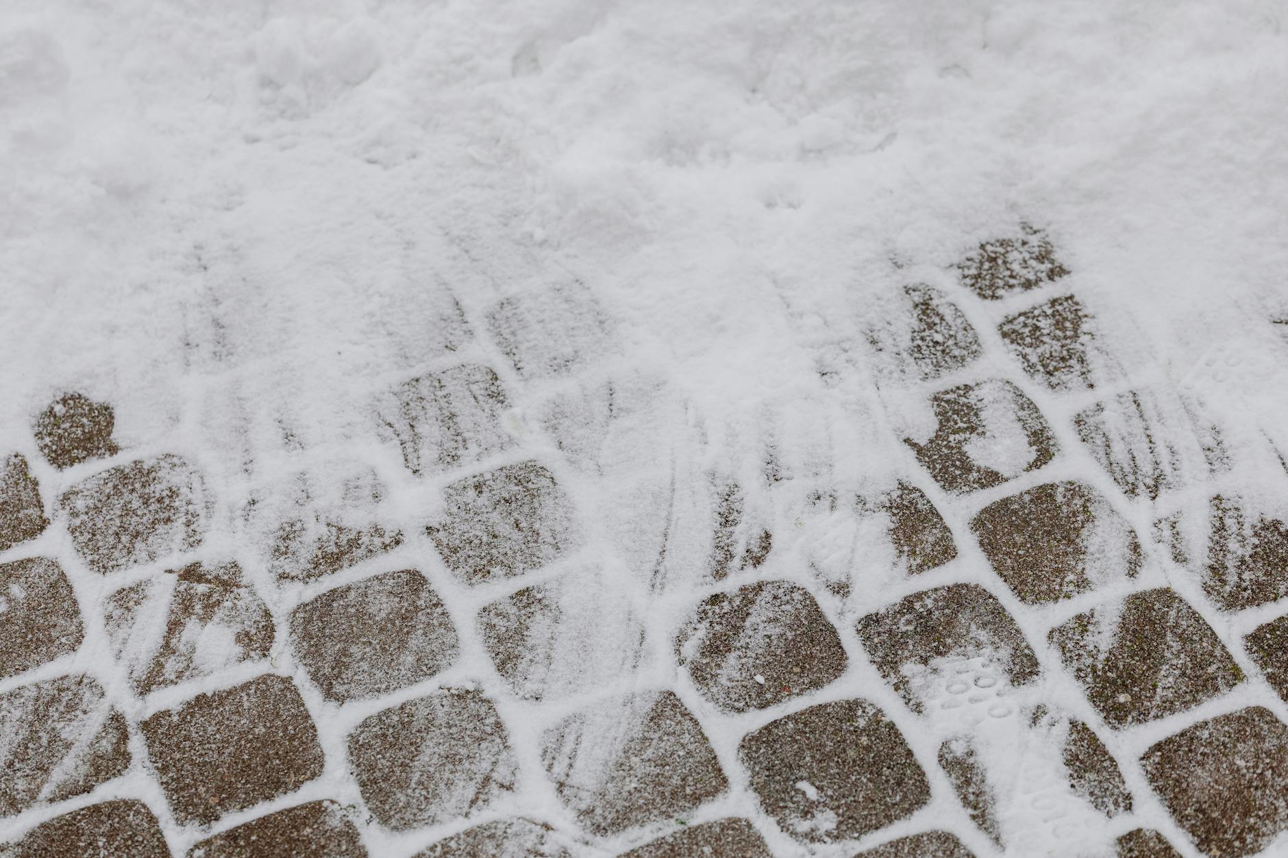 How to Create Climate Change Awareness Event Logo