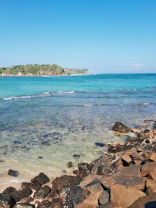 Tea Industry Logo Design Ideas