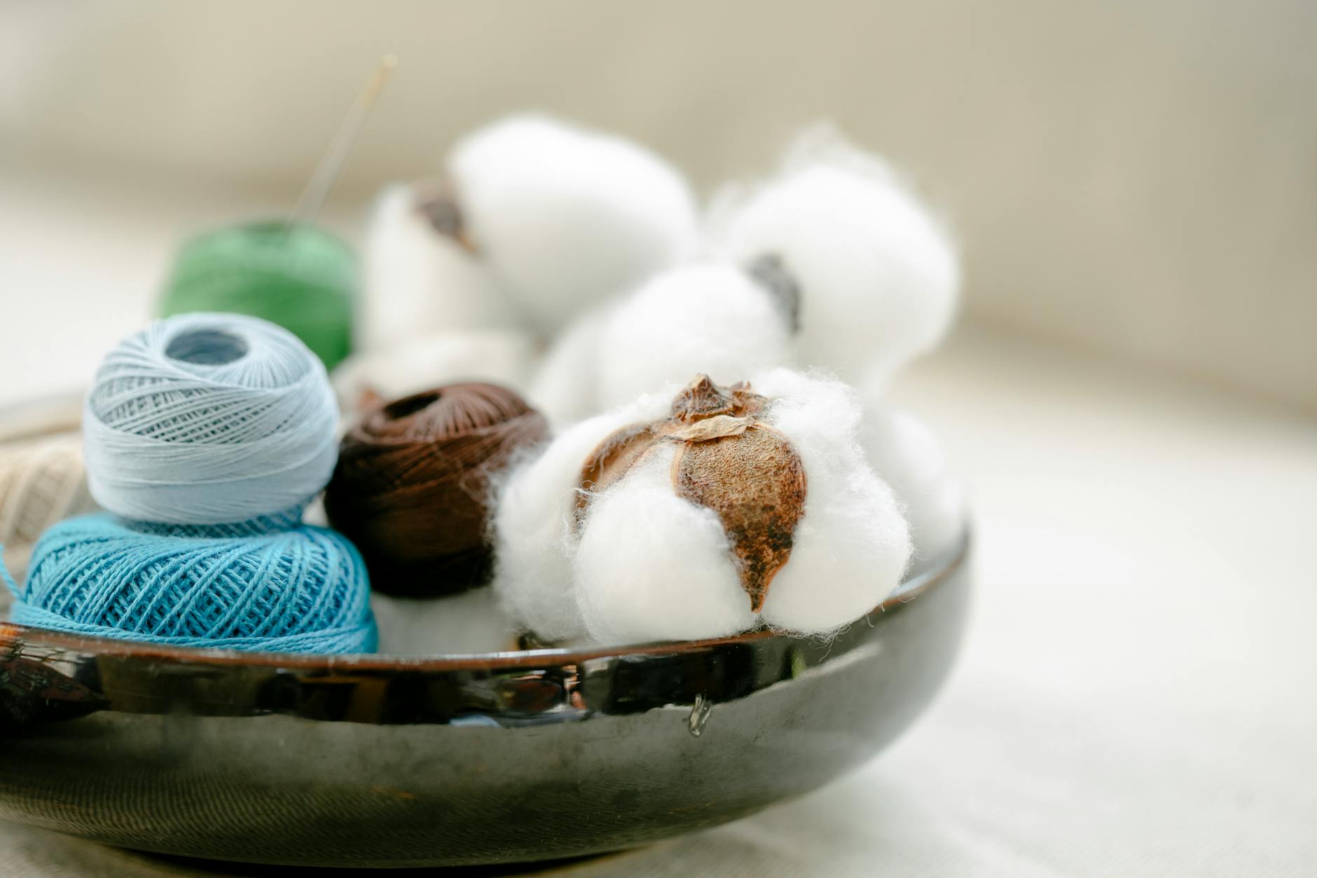 Organic Cotton Industry Logo Design Ideas
