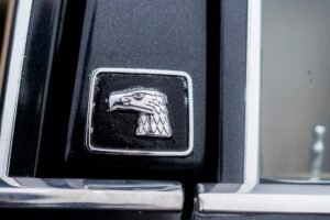 How to Create Therapeutic Animal Interaction Industry Logo