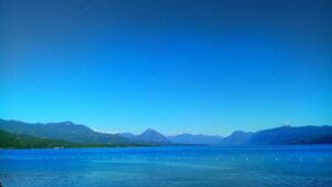 How to Get Clients for Your Canned Tomato Business