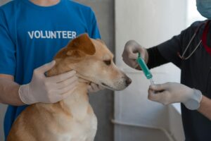 How to Get Clients for Your Shelter Services Business