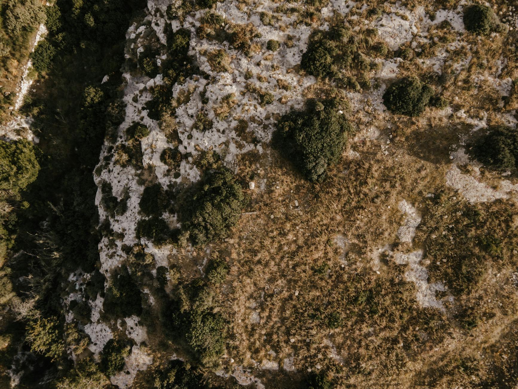 How to Get Clients for Your Environmental Monitoring Drone Business