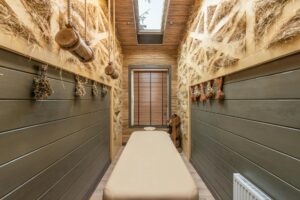 Laser Therapy Industry Logo Design Ideas