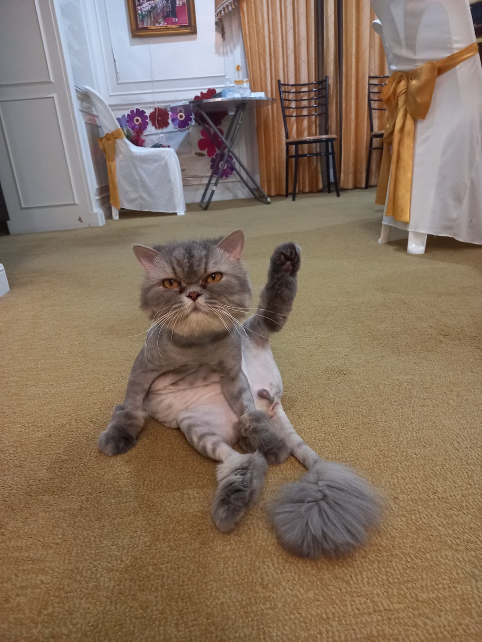 How to Create Acne Patch Industry Logo