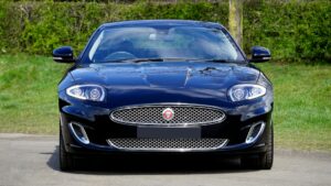 How to Create British Country Style Logo