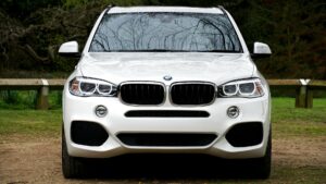 How to Create Landscaping Services Industry Logo