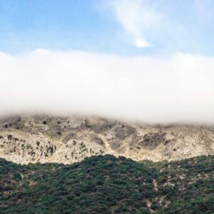 How to Create Environmental Summit Event Logo