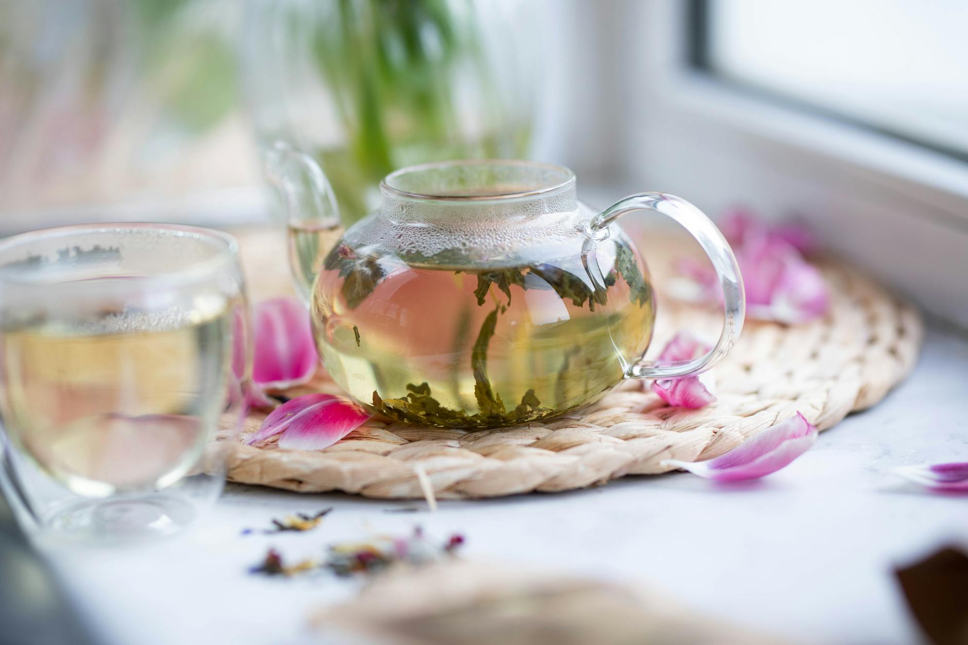Loose Leaf Tea Industry Logo Design Ideas