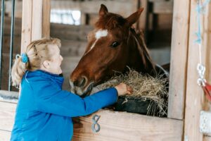 How to Get Clients for Your Equine Feed Business