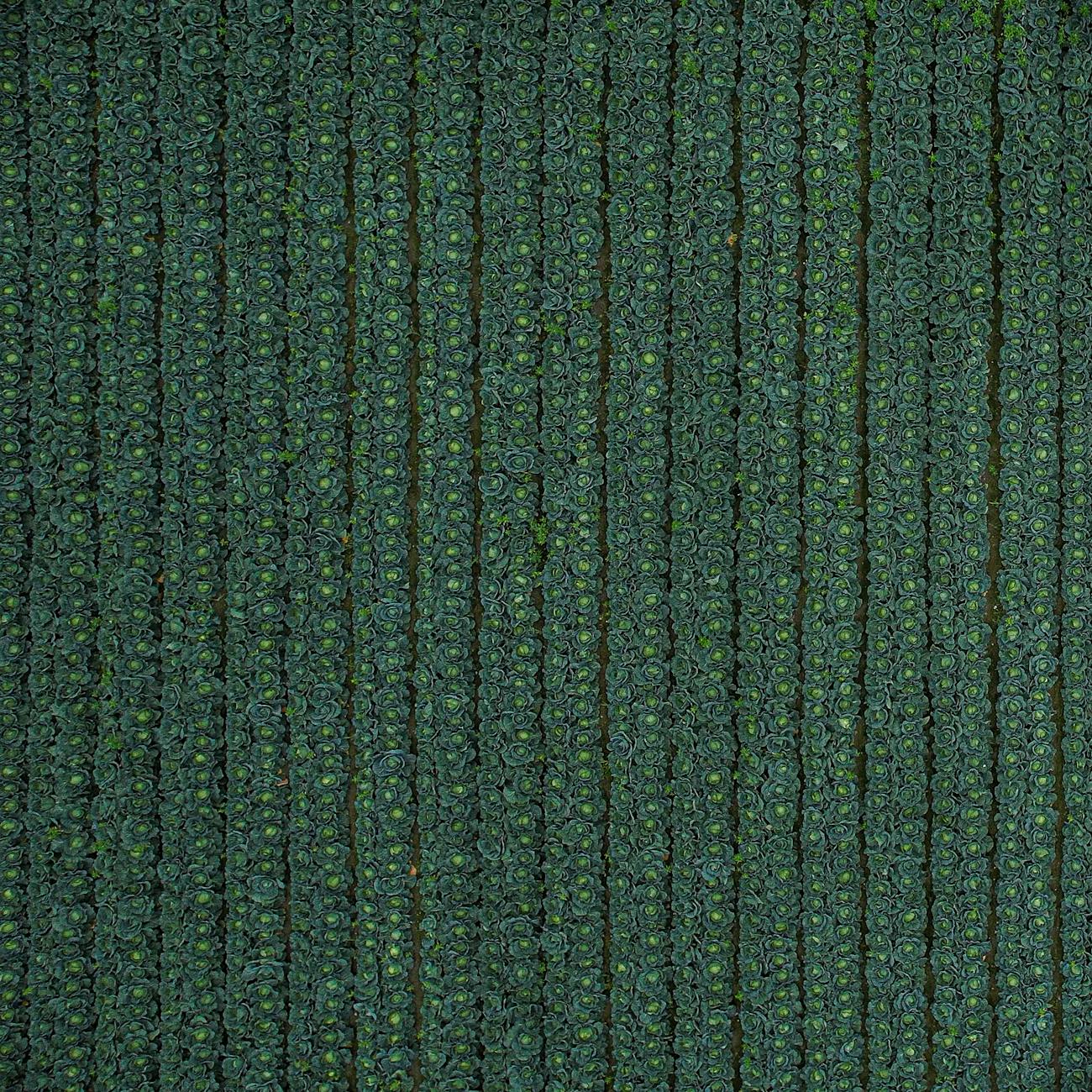 How to Create Sustainable Tobacco Farming Industry Logo