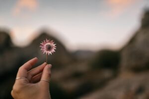 Organic Beauty Industry Logo Design Ideas