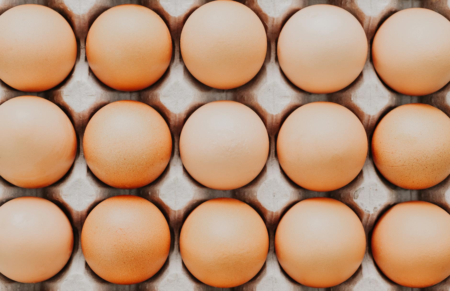 How to Get Clients for Your Poultry Farming Business