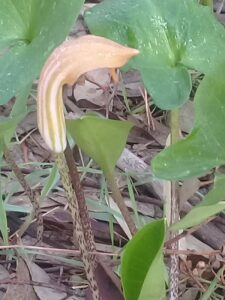 How to Get Clients for Your Gutter Manufacturing Business