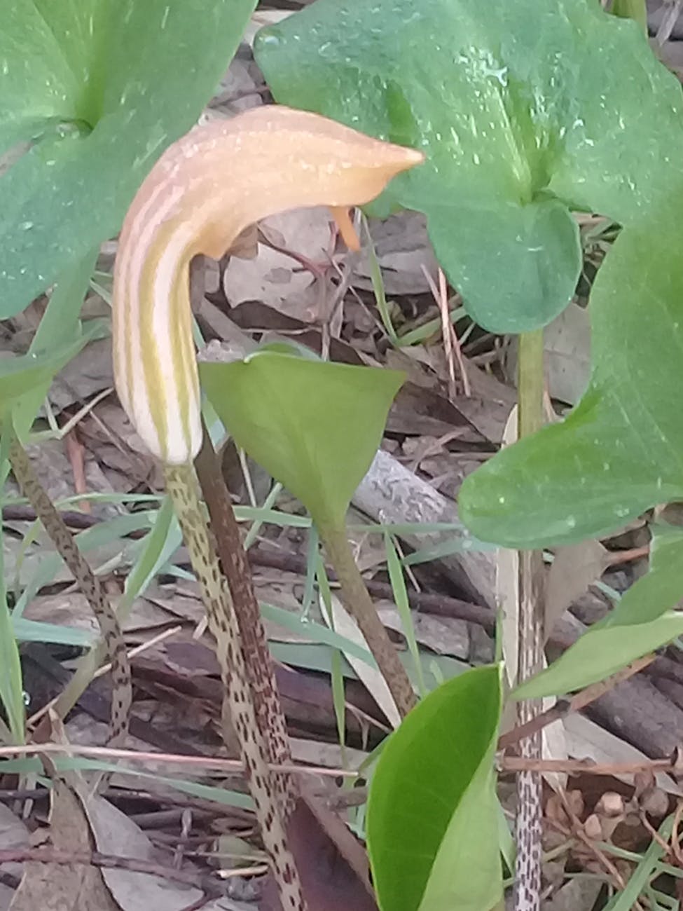 How to Get Clients for Your Gutter Manufacturing Business