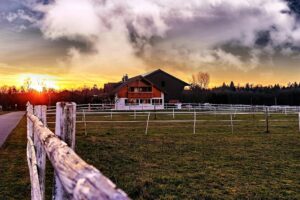 How to Get Clients for Your Agricultural Fence Business
