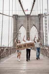 Citrus Export Industry Logo Design Ideas