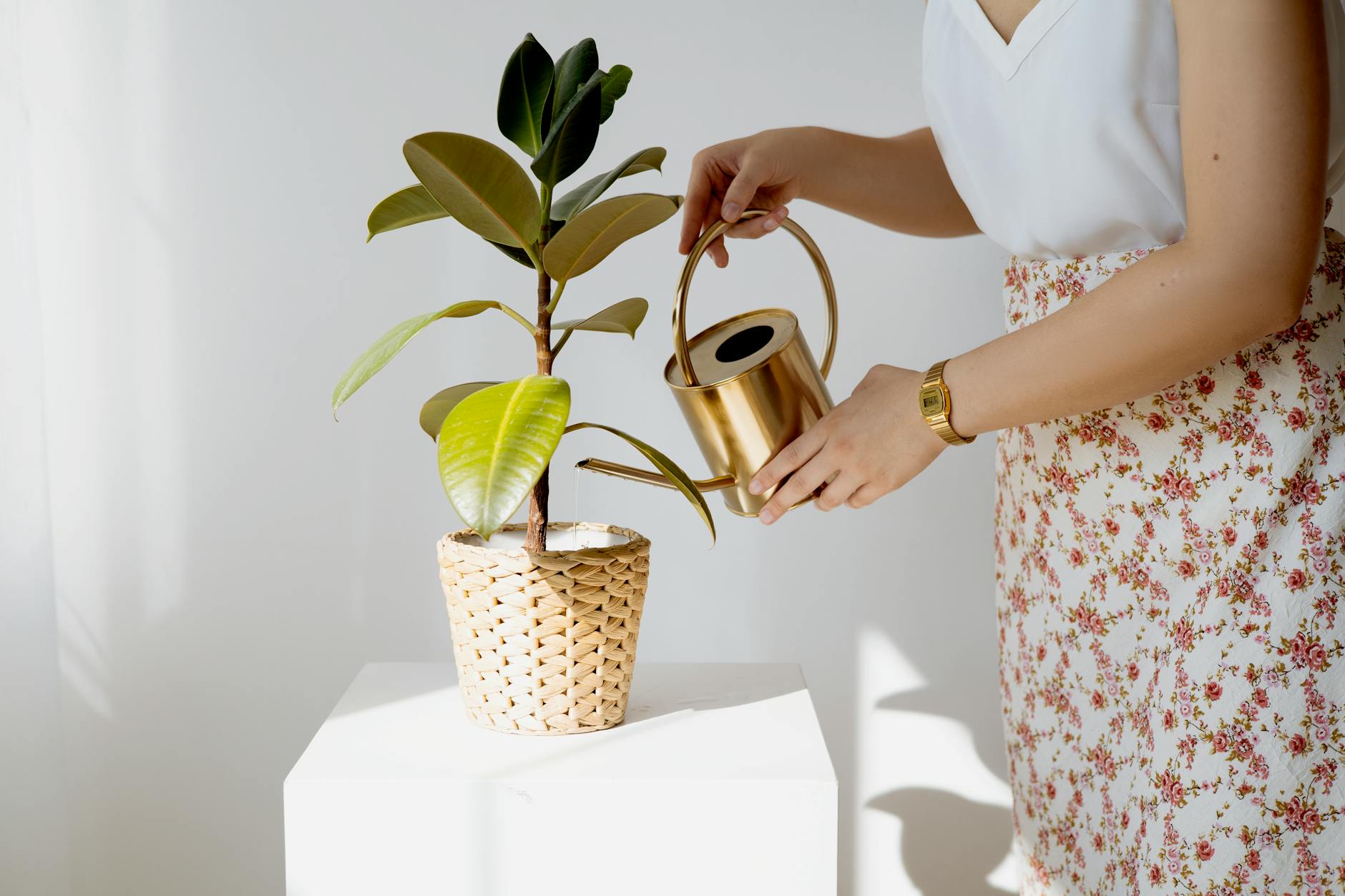 Eco-Friendly Fashion Event Logo Design Ideas