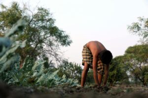 How to Get Clients for Your Non-Food Crop Business